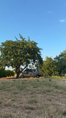 Platztyp für 5 Personen (Campspace 30920)