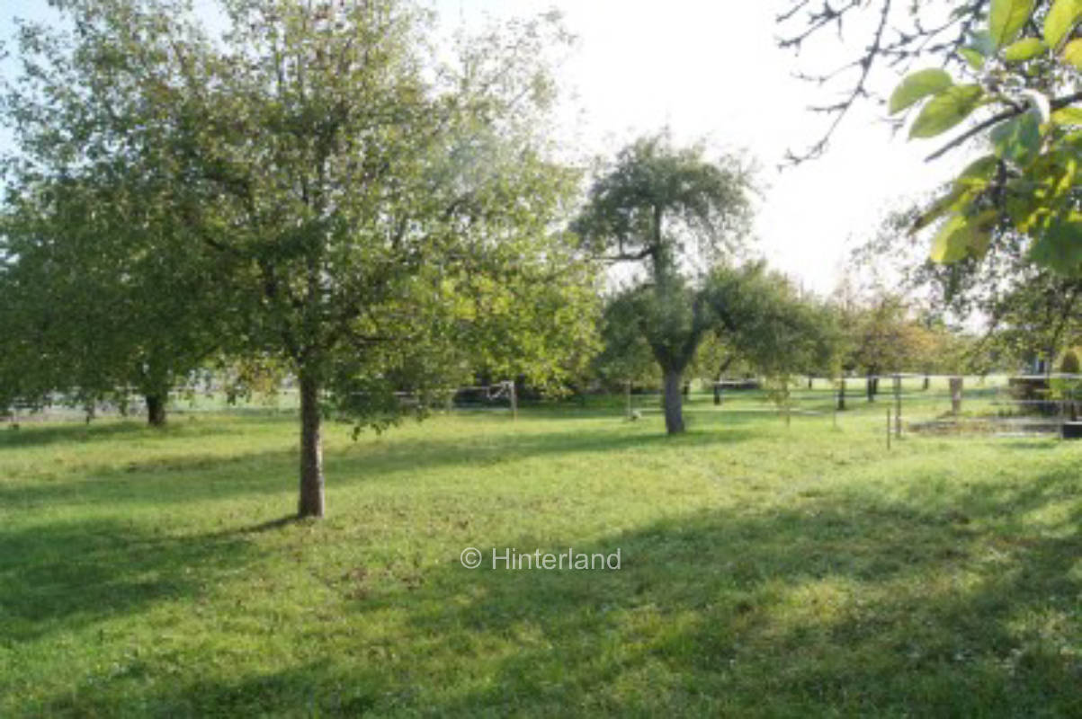 Schaffhausen Nature Park in Blauburgunderland