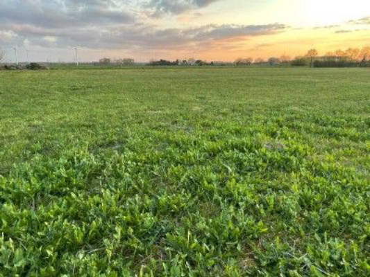 Große Wiese zum freien Stehen nahe Berlin