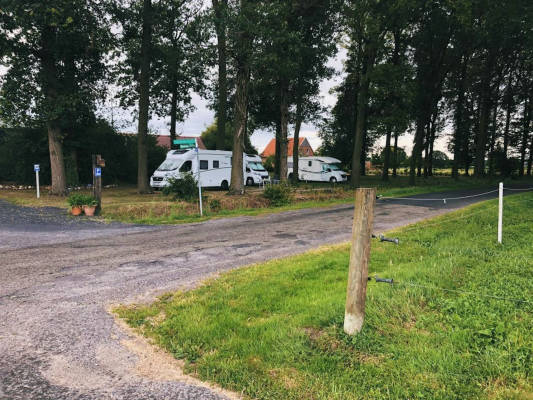 Stellplatz im eichen wald