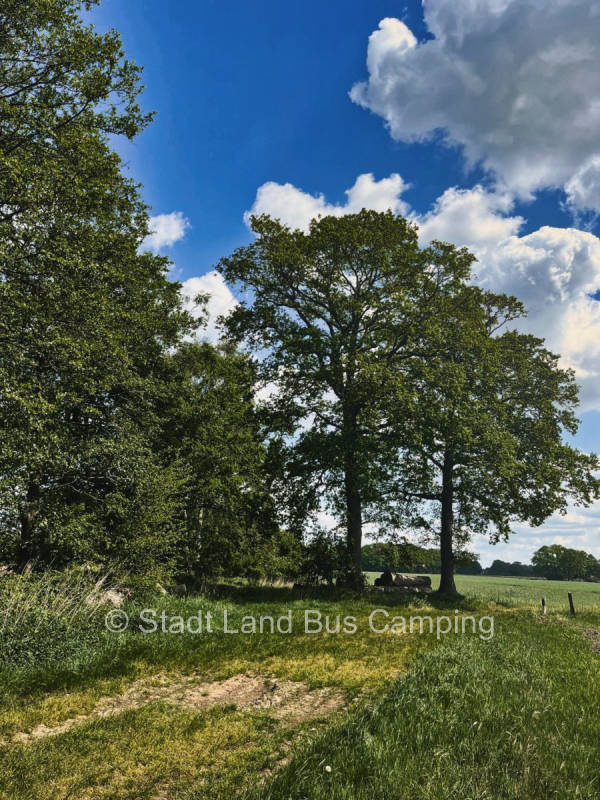 Alone and away from it all