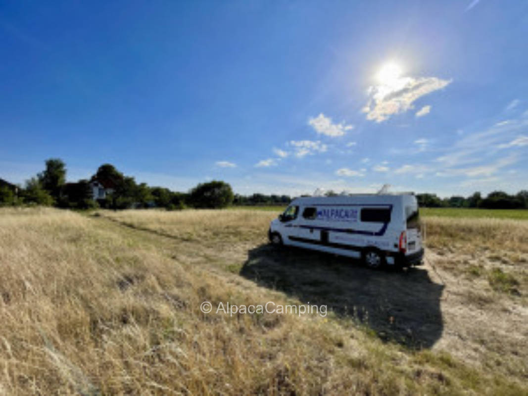 Pitch in Neulangsow #3