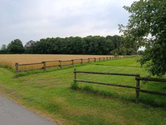 Pitch on the meadow next to the fruit trees