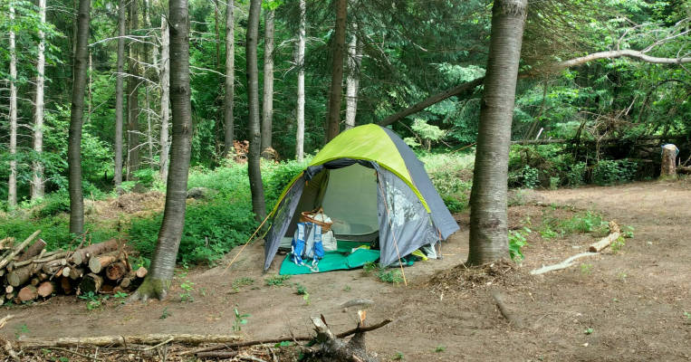 Naturlichkeit ruhe im pfalzerwald