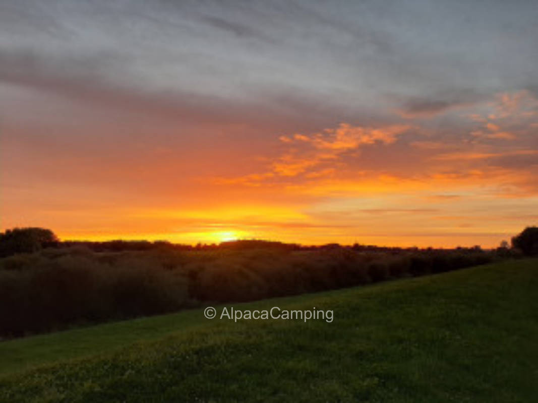 Bauerhofcamping im Biosphärenreservat Niedersächsische Elbtalaue #2