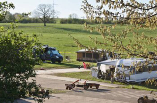 Holiday on the Gnadenhof for Farm Animals
