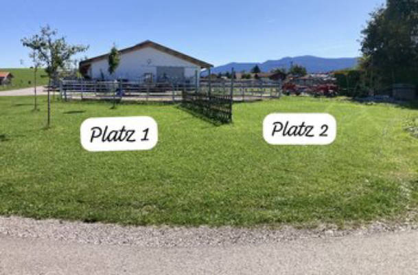 Camp mit Seeblick und Pferde