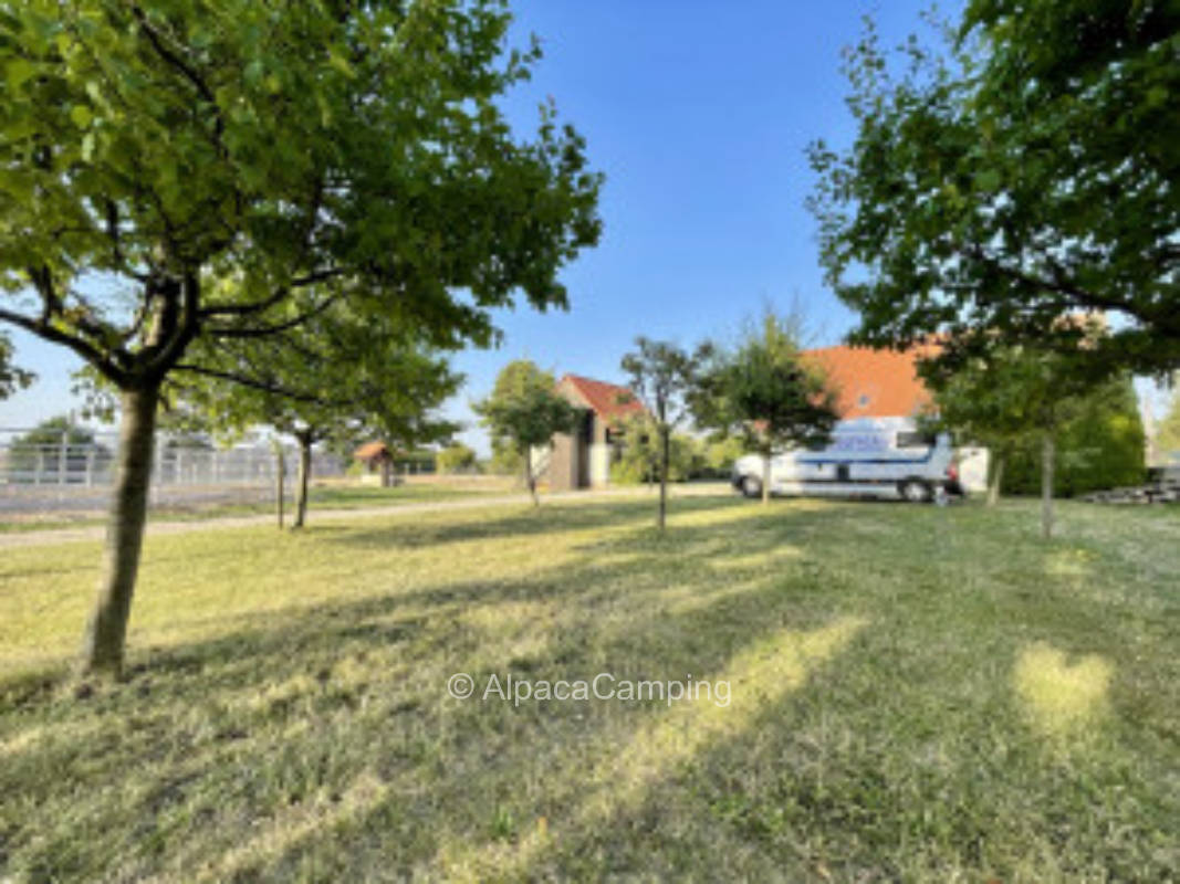 Vacation on the horse farm with the best view of the Upper Lusatia #3