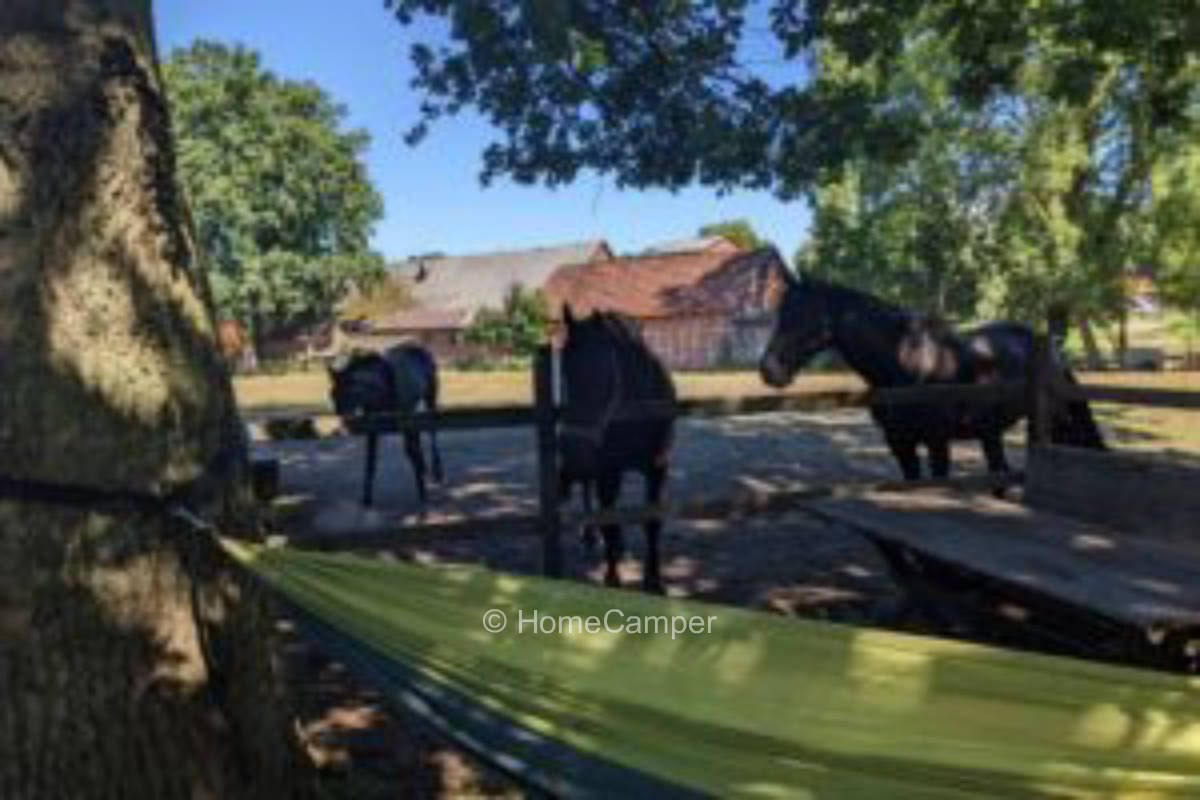 Privater Platz in Elsdorf