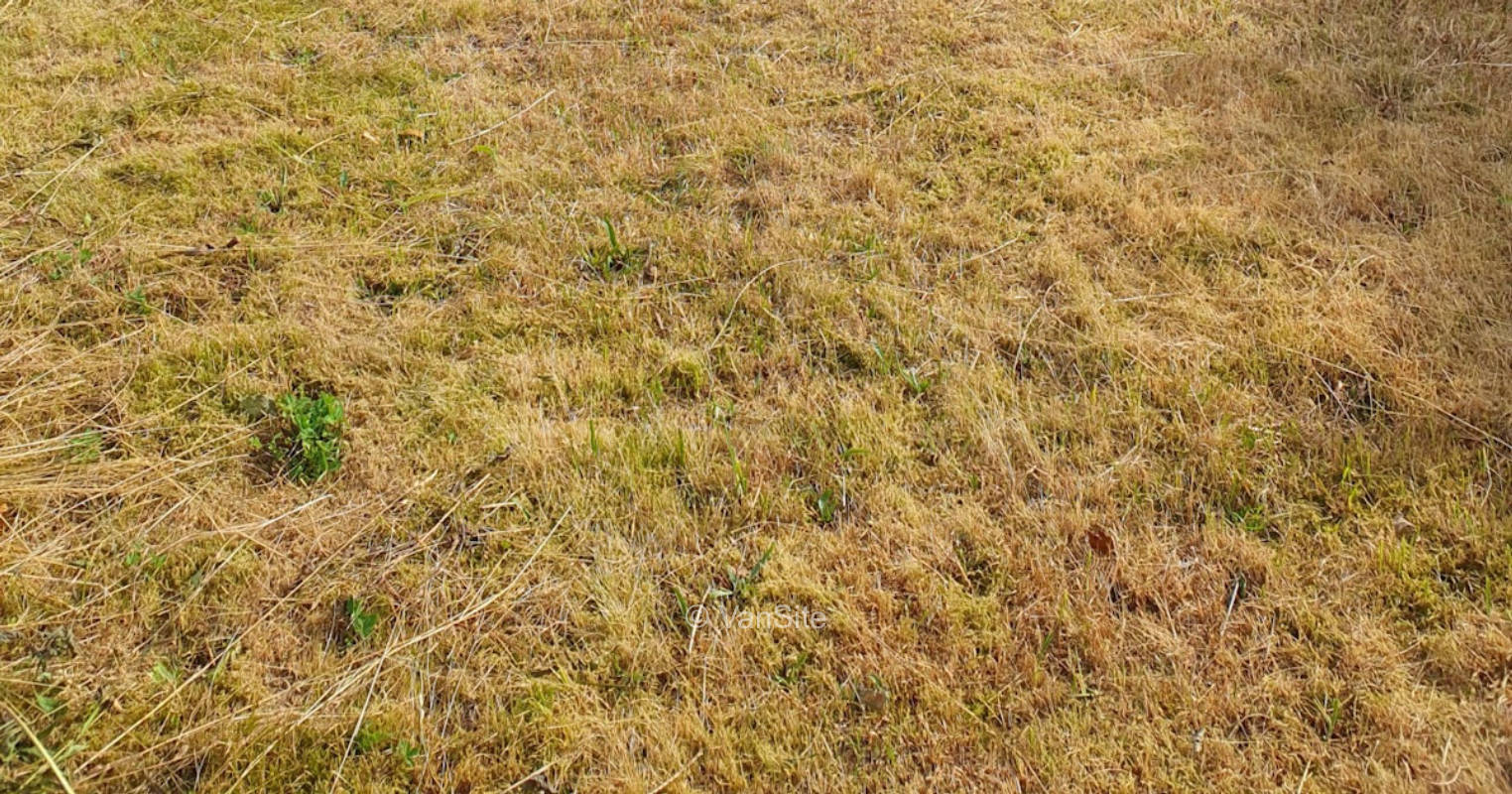 Verwunschener Naturplatz auf dem Lande