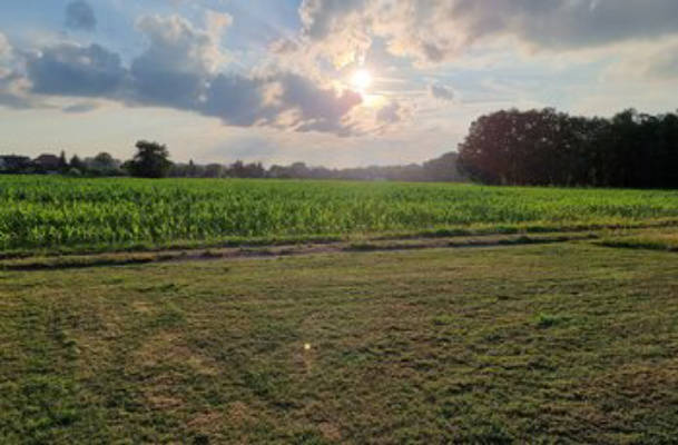 Stellplatz nahe dem Tierpark am Feld im schönen HZ