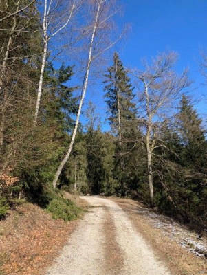 Erholung im Hochwald mit Nationalparkblick