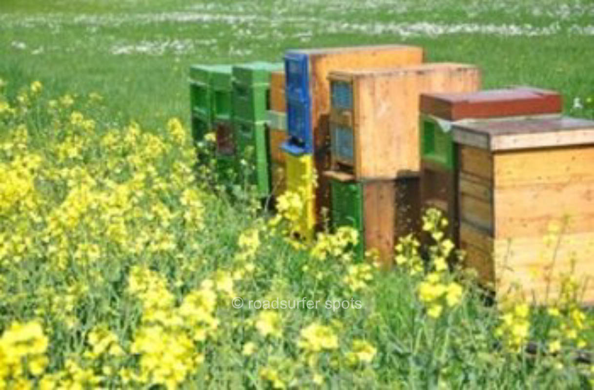 Stellplatz in den Elbtalauen