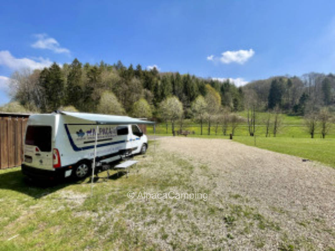 Großer Naturcampingplatz “Am Naturschutzgebiet” unter Bäumen