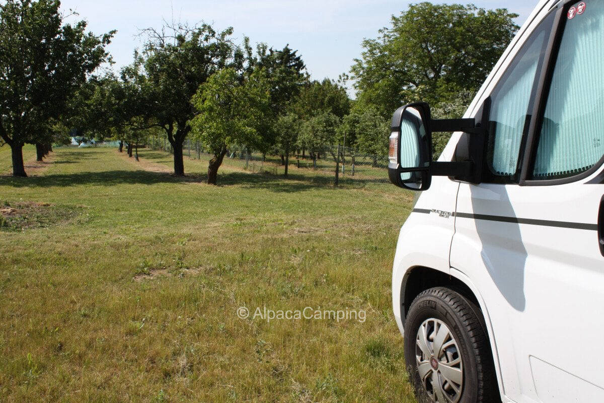 Quiet meadow with nature view at winery #1