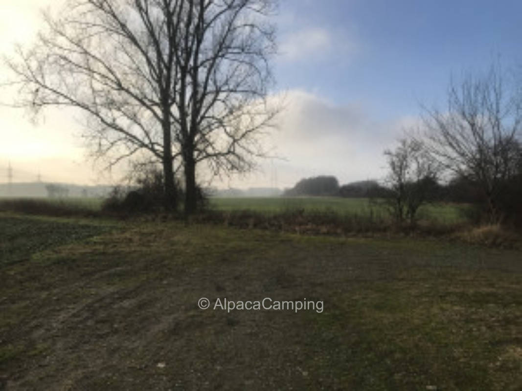 Wunderschöne Auszeit im Braunschweiger Land mit Blick aufs Wasser #2