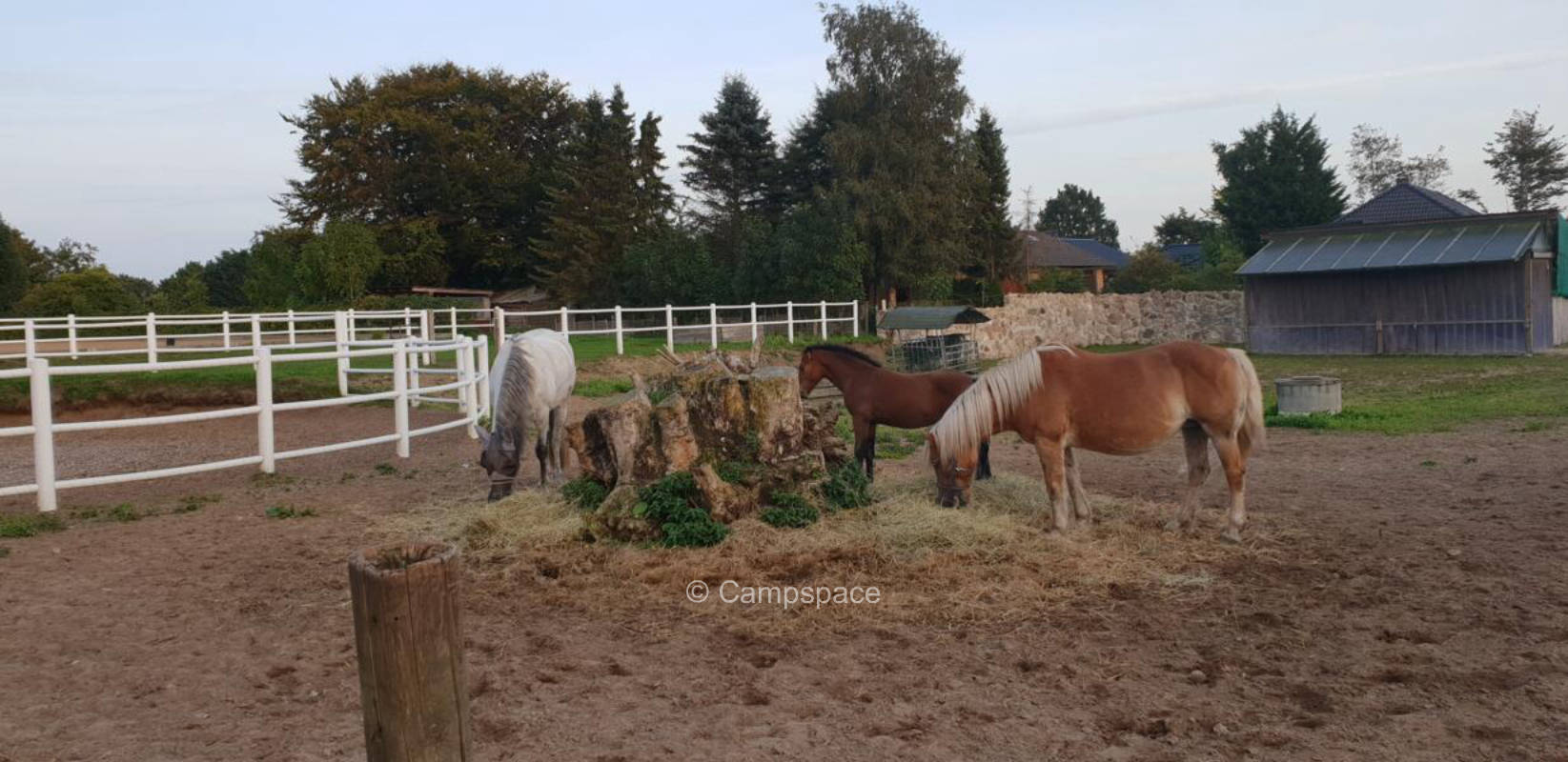 Camping auf dem Pferdehof in Dannewerk