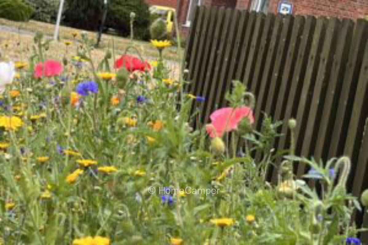 Private place in Rehburg-Loccum