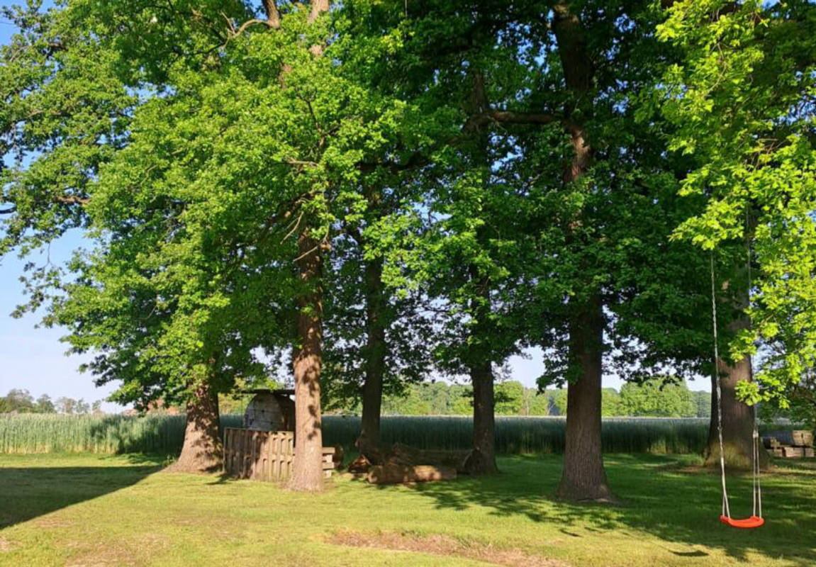 Unter den Eichen auf dem Bauernhof