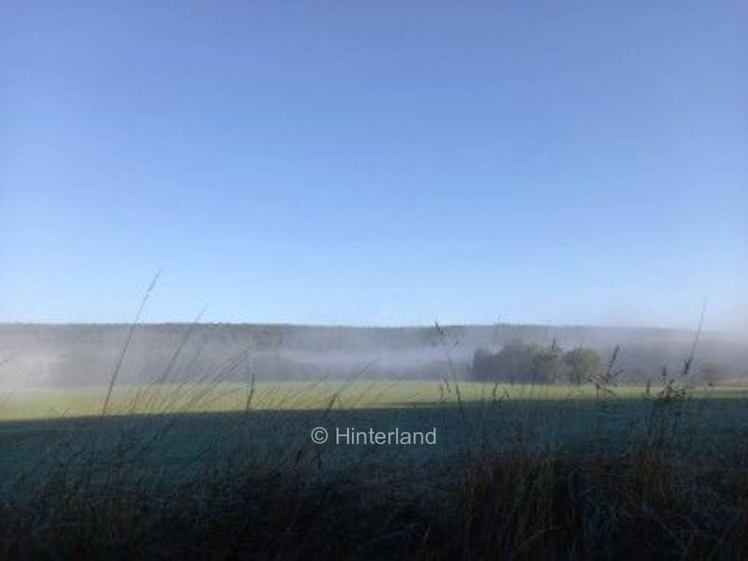 Alone location in the nature with a view of the forest