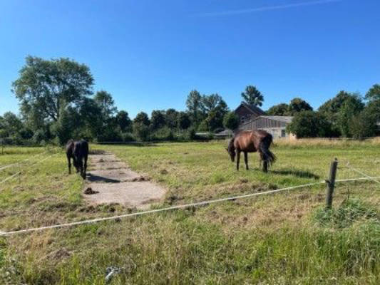 Weitblick über die Felder an der Unterweser