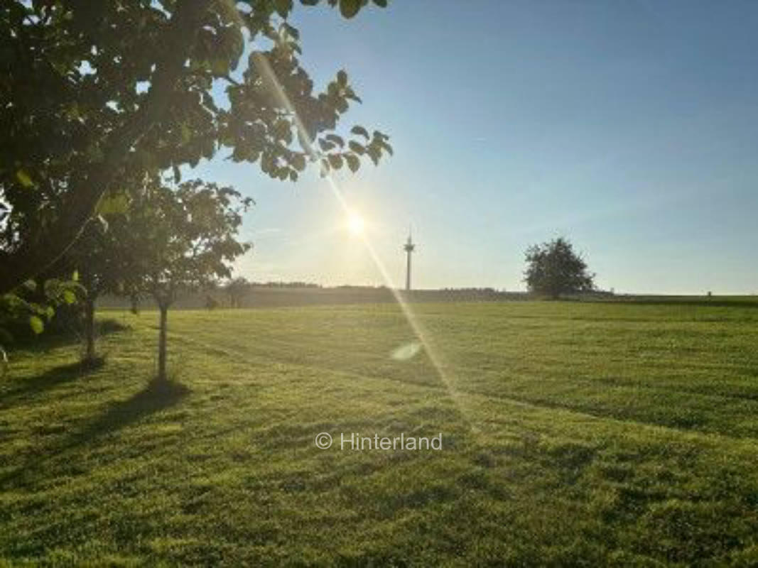 Einmalige Aussicht - idyllisch & nahe Miltenberg