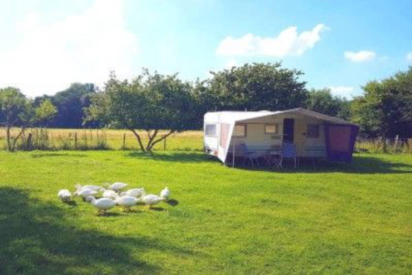 Idyllic country estate between Bremen & Bremerhaven