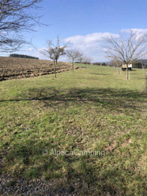 Wide view in the Rheingau Taunus Nature Park #2