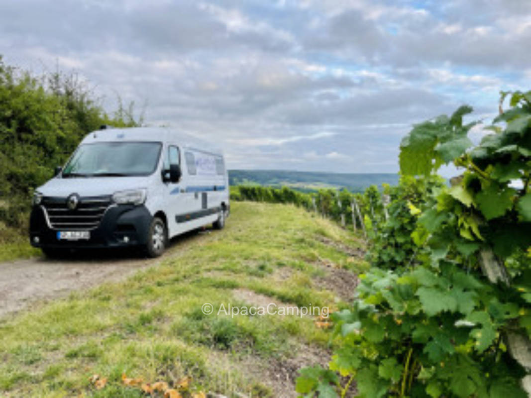 Madonna in the vineyard - Max 2 nights