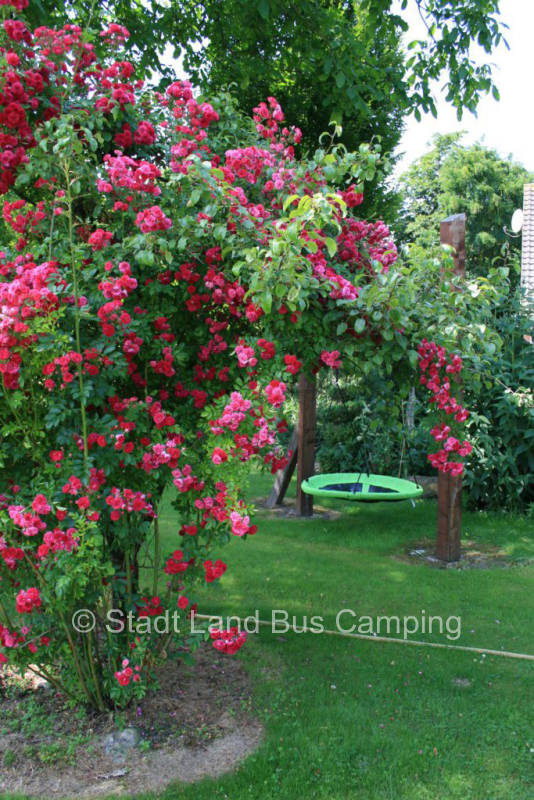 Geschken Hof - "On the Red Clover Meadow