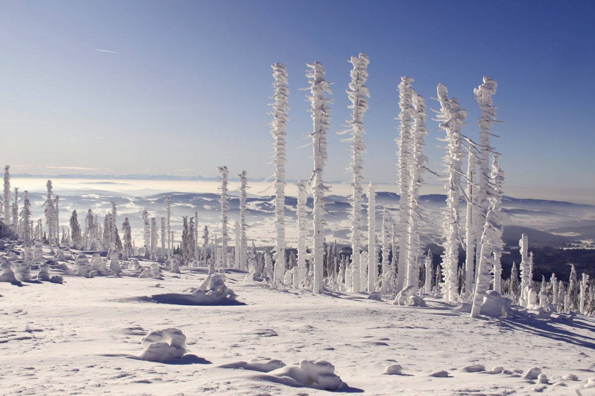 Der Bayerische Wald - Ein möglicher Stellplatz?