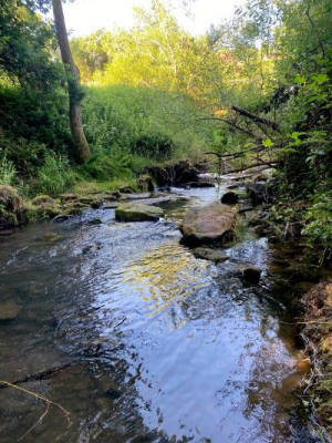 In the Heart of the Spessart ♥ Campsite by the Stream