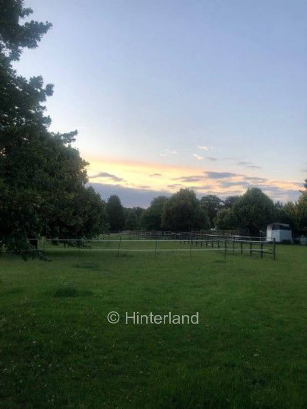 In the middle of the country under linden trees