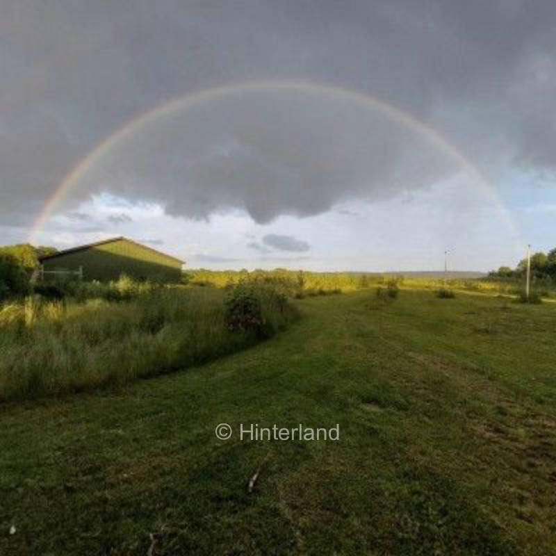 Camp in Cider Orchard: Near Sea, Fields & Woods