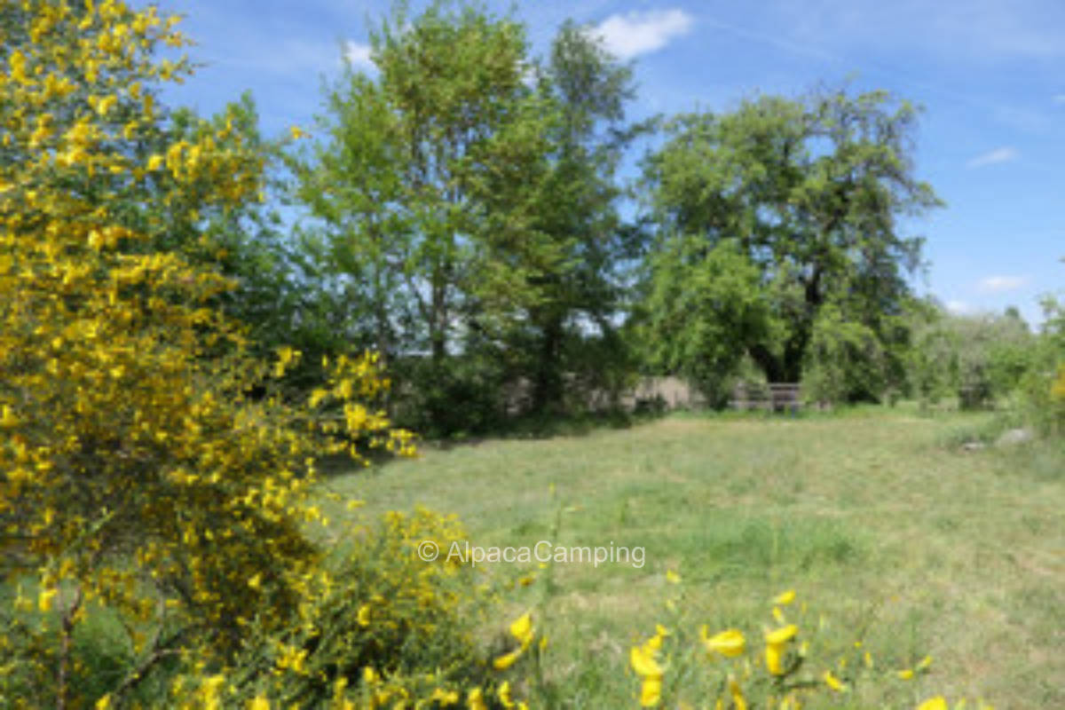 Stellplatz im Lausitzer Seenland #3