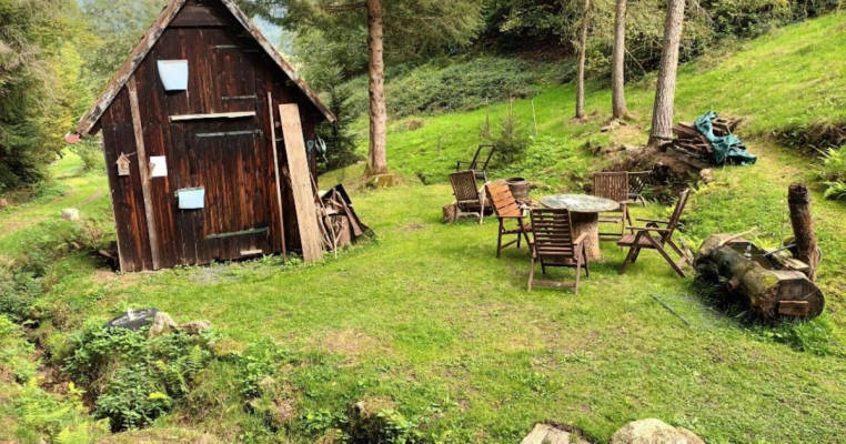 Hay hut with meadow at the forest edge