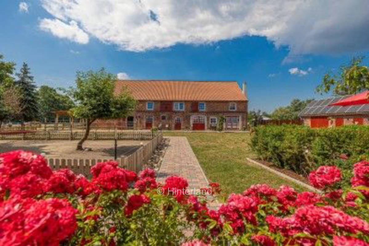 Nähe Arendsee mit Alpakas in idyllischer Lage