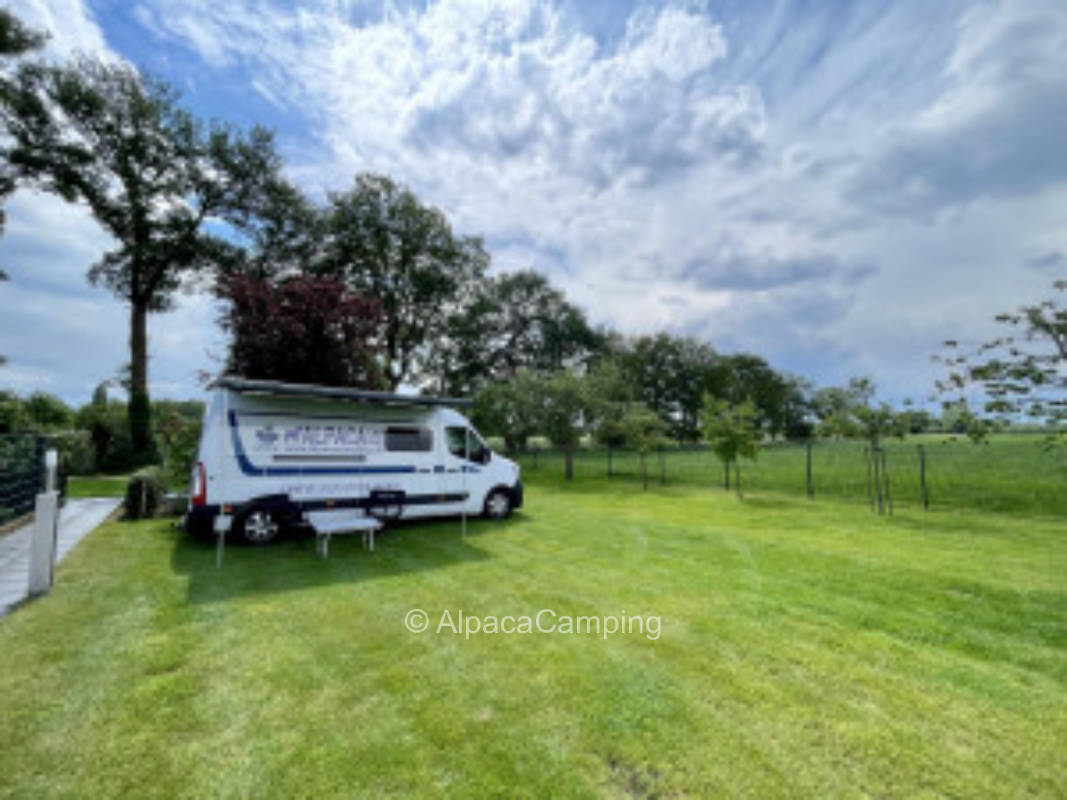 At the deer meadow #5