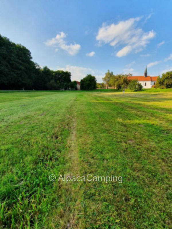 Stellplatz an der Klostermauer #1