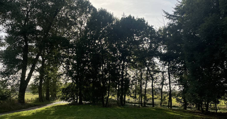 The green nature with good connections for cycling