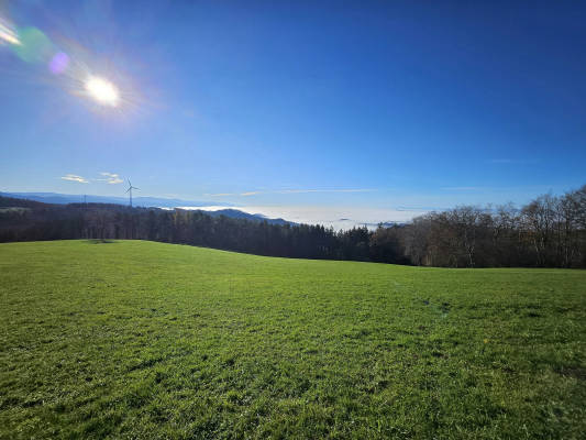 Nature pure at kolble hof windrad