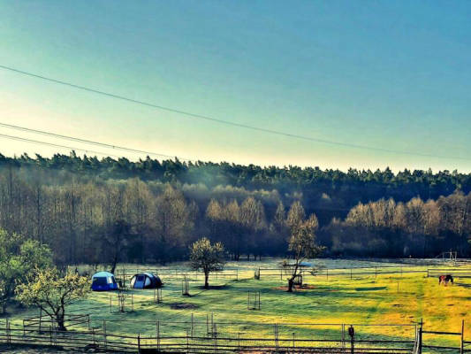Zelten auf der Koppel (Campspace 5116)