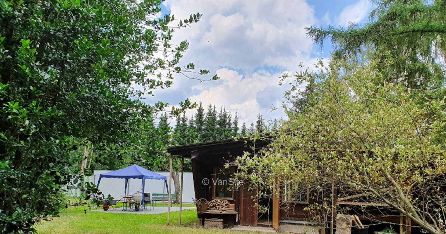 Pitch at the cherry tree ... once to America