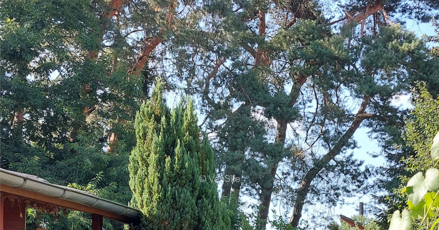 Wiese hinterm Haus Friede