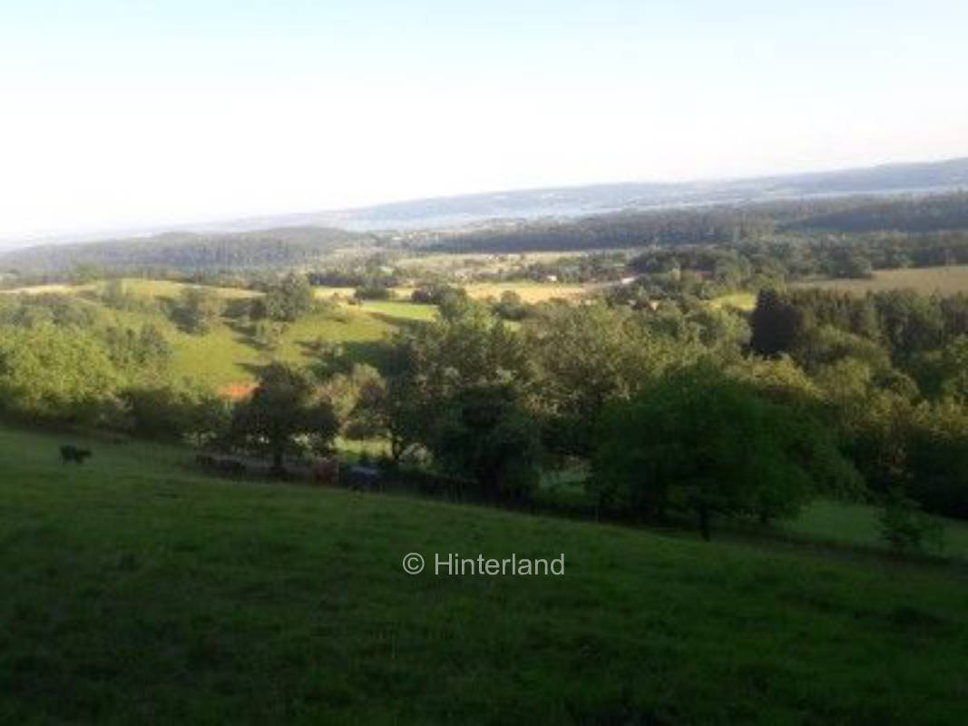 Idyllischer Stellplatz in Bodenseenähe