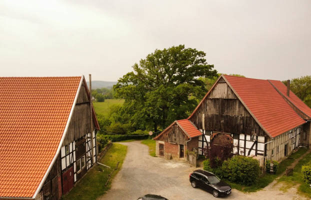 Idyllic horse farm pitch