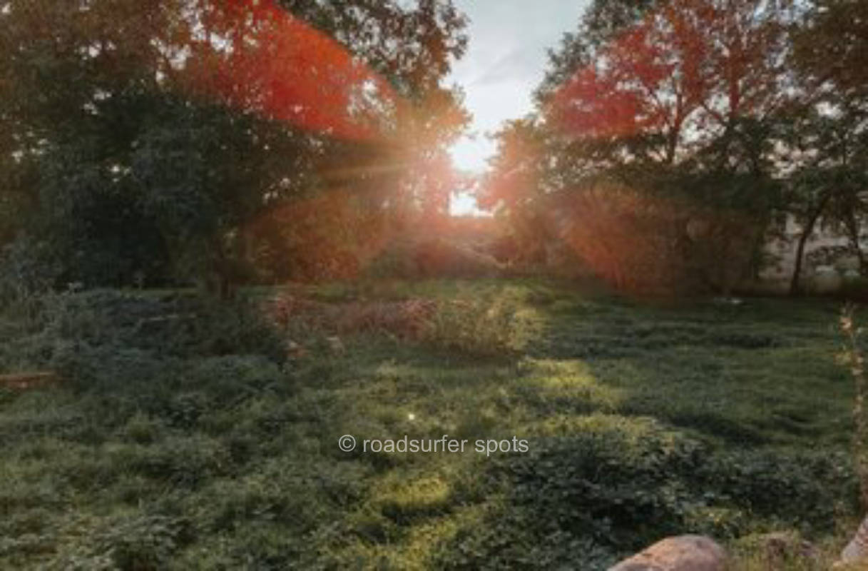 Natur pur im Tollensetal 