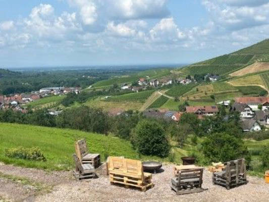 Panorama Stellplatz mit Rheintal-/Vogesenblick