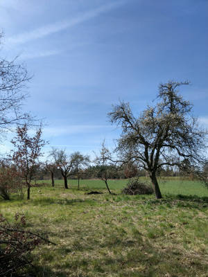 Wiese am trinkwasserschutzgebiet