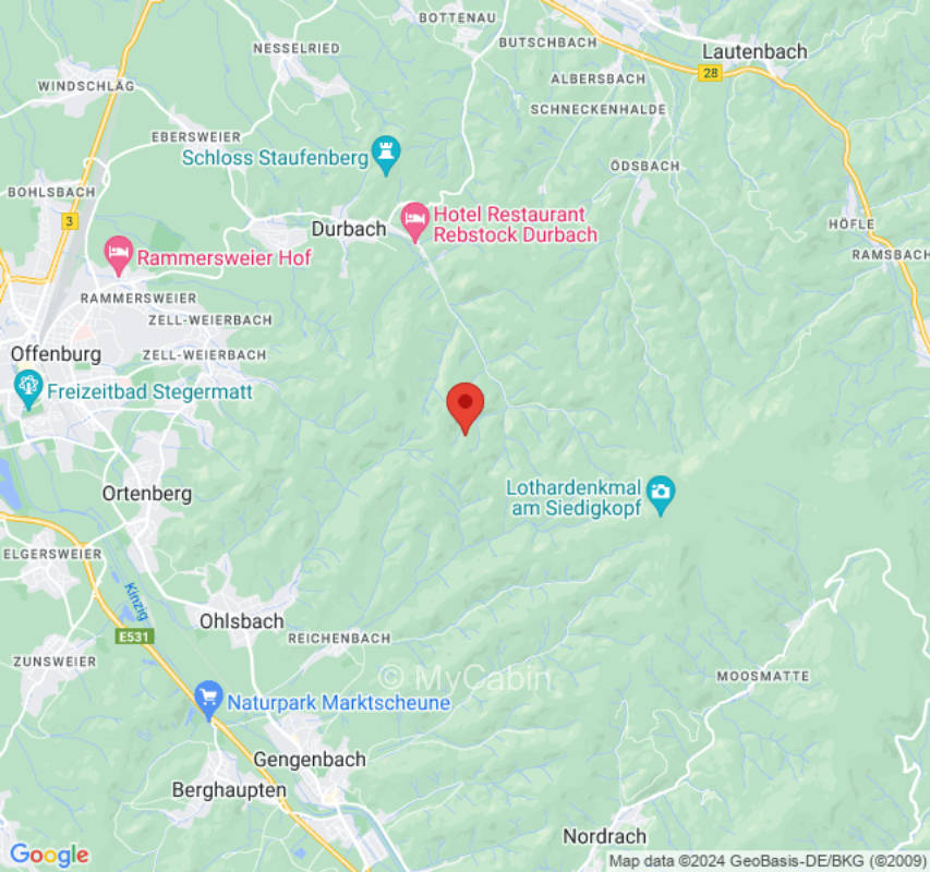 Sonnige Wiese umgeben von Wald mitten in der Natur